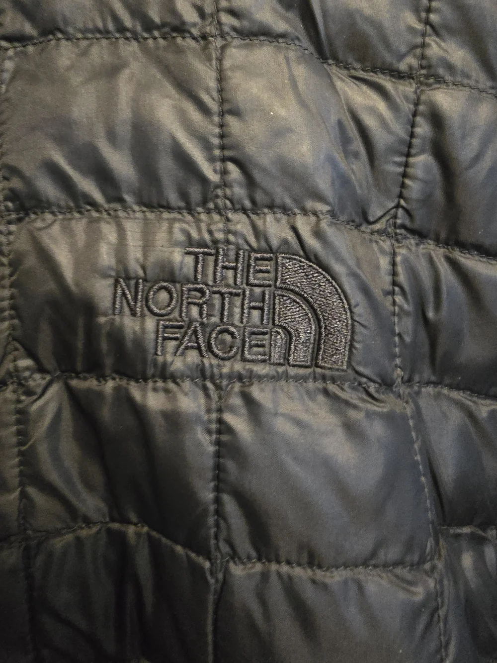 The North Face Men’s Black Quilted Jacket...VERY THIN JACKET